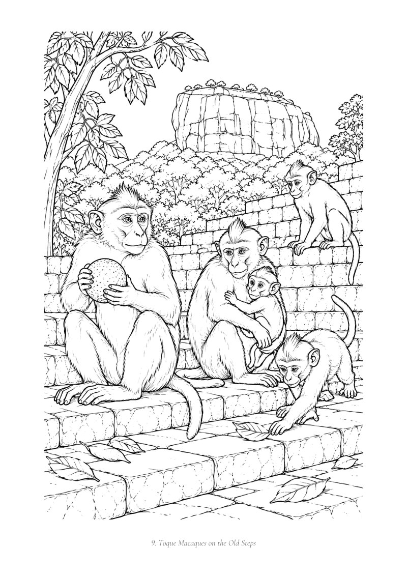 Sample page 21